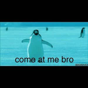 Meet your Posher, Valerie